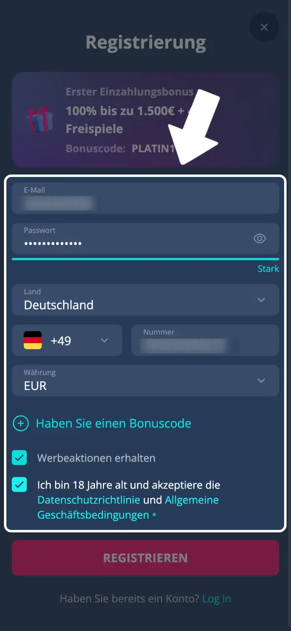Platin Casino persönliche Daten eingeben und bestätigen.